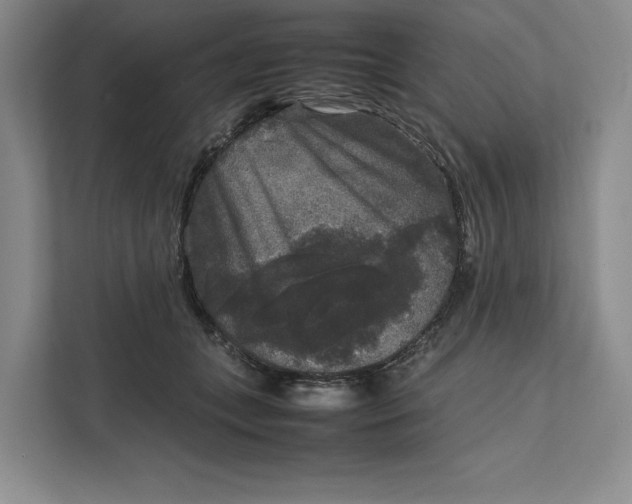 X0000111810559200908061117