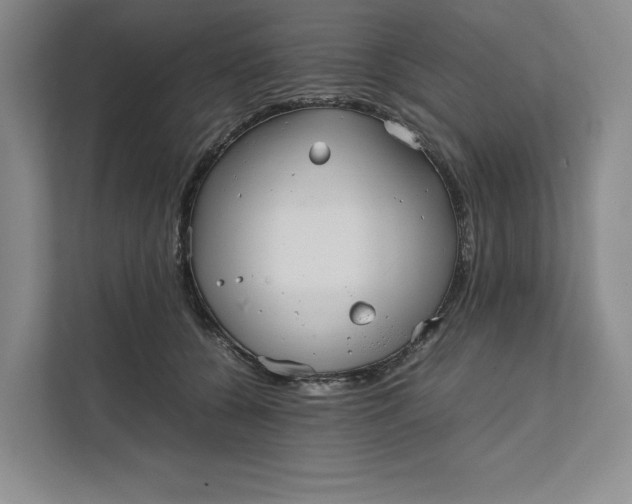 X0000111810560200908061117