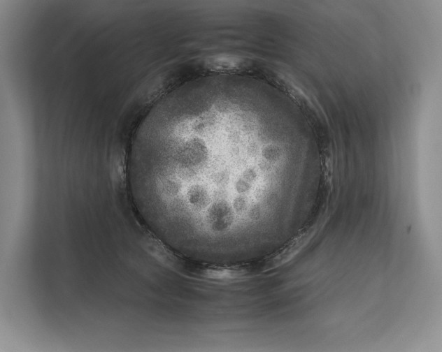 X0000111810561200908061117