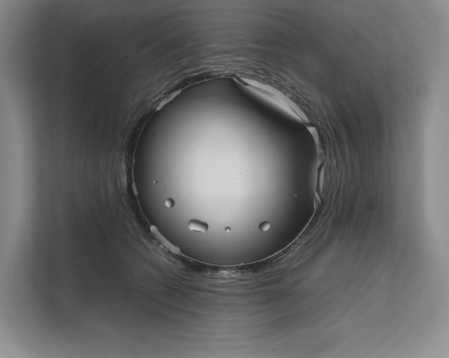 X0000111810562200908061117