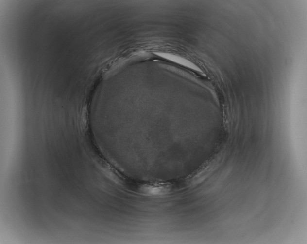 X0000111810563200908061117