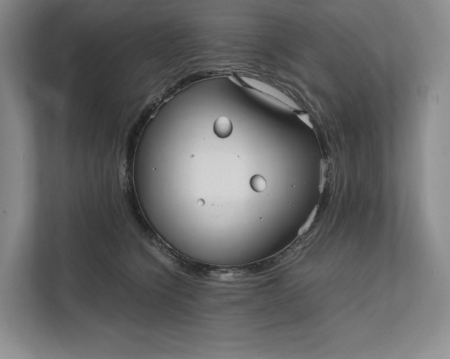 X0000111810564200908061117