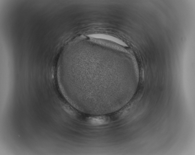 X0000111810567200908061117