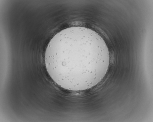 X0000111810569200908061118