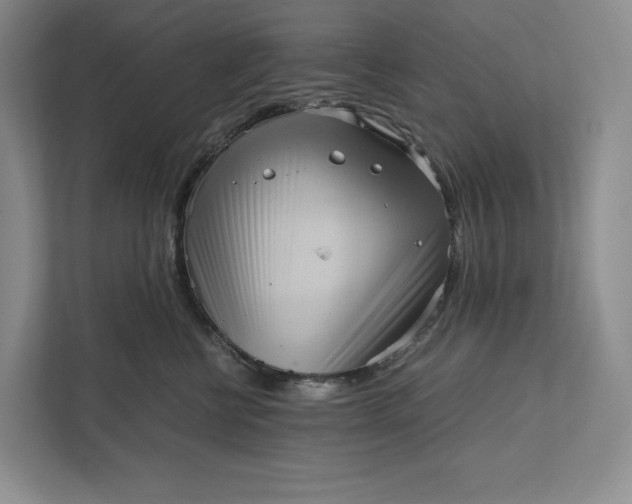 X0000111810570200908061118