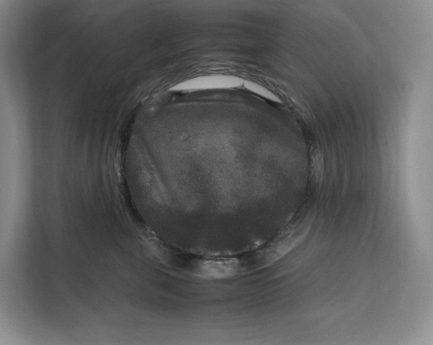 X0000111810571200908061118