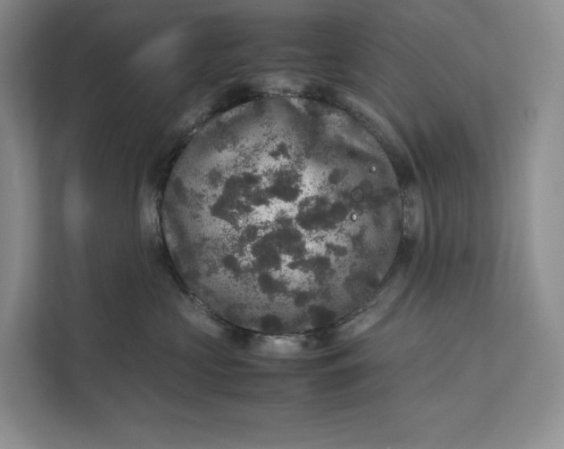 X0000111810573200908061118