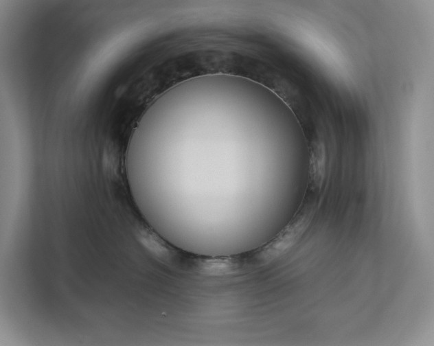 X0000111810574200908061118