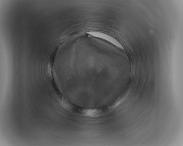 X0000111810575200908061118