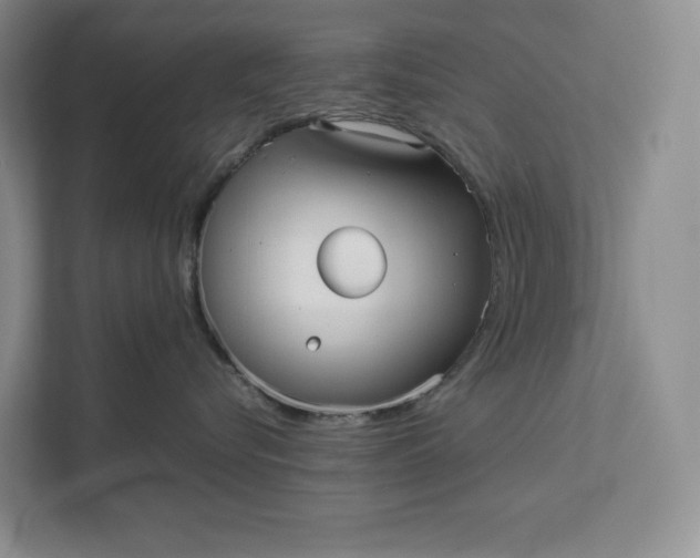 X0000111810576200908061118