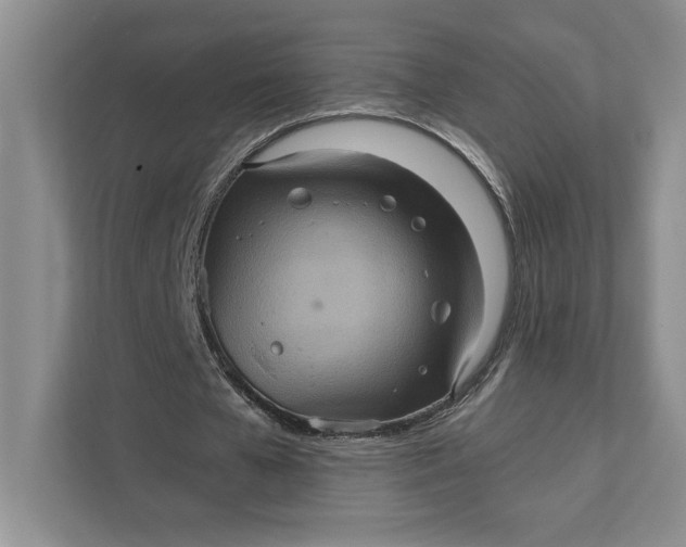 X0000111810577200908061117
