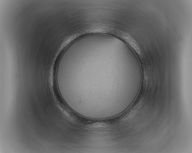 X0000111810578200908061117