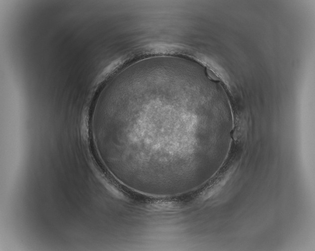 X0000111810581200908061117