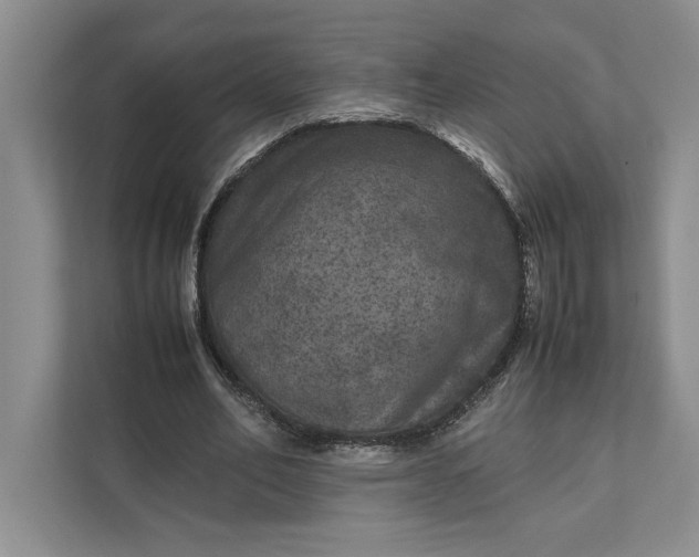 X0000111810582200908061117
