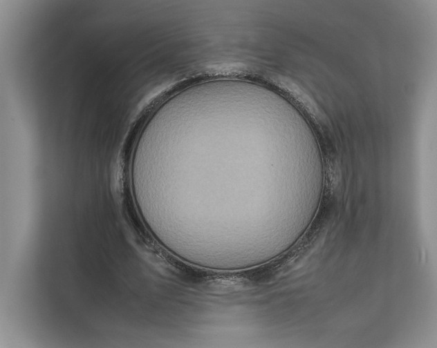 X0000111810583200908061117