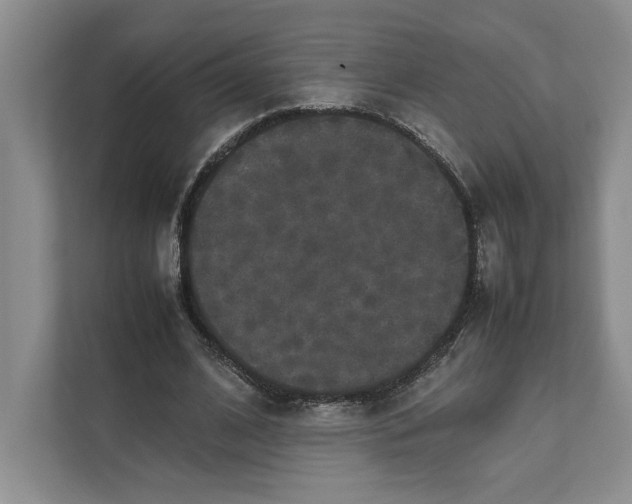 X0000111810584200908061117