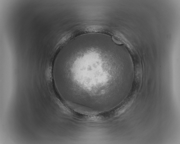 X0000111810585200908061117