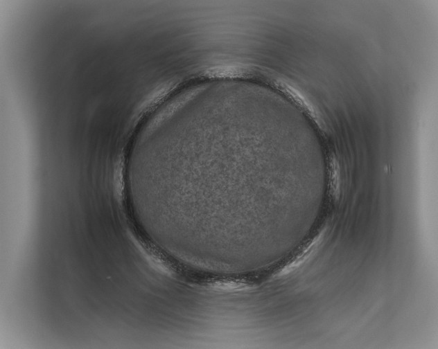 X0000111810586200908061117