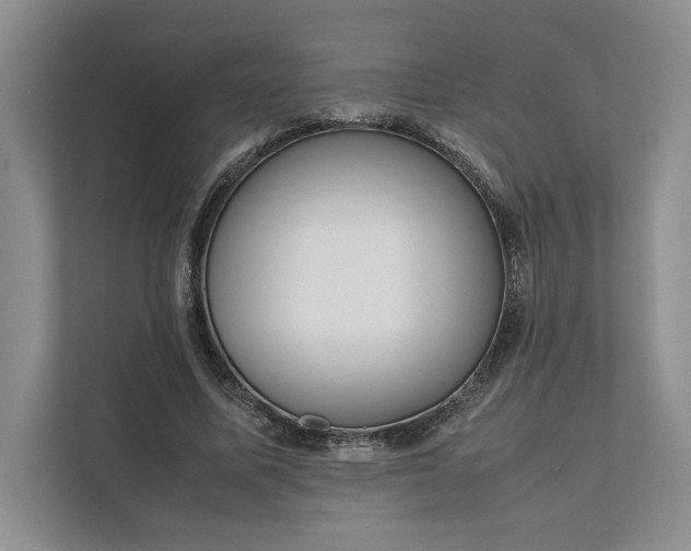 X0000111810587200908061117