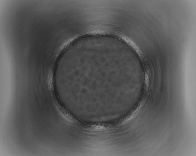 X0000111810588200908061117
