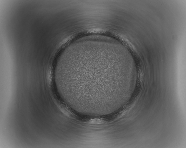 X0000111810591200908061117