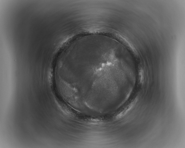 X0000111810592200908061117