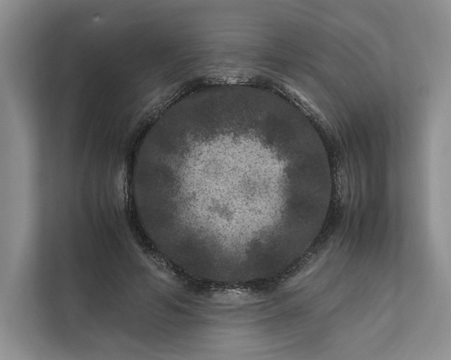 X0000111810594200908061117