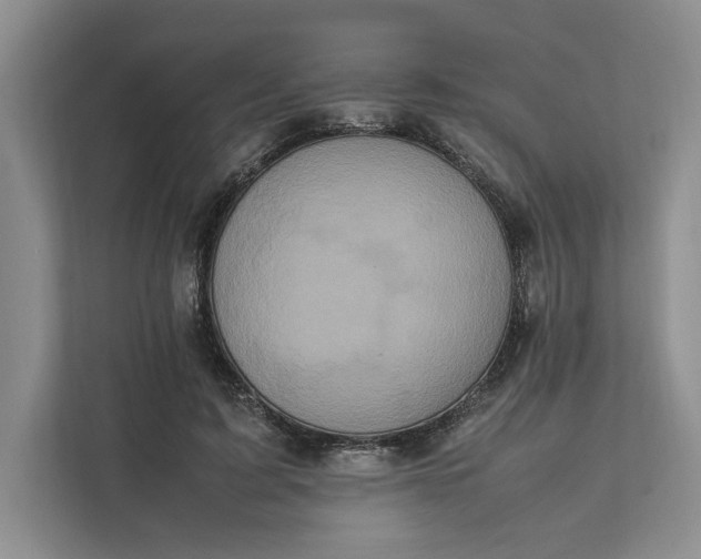 X0000111810595200908061117