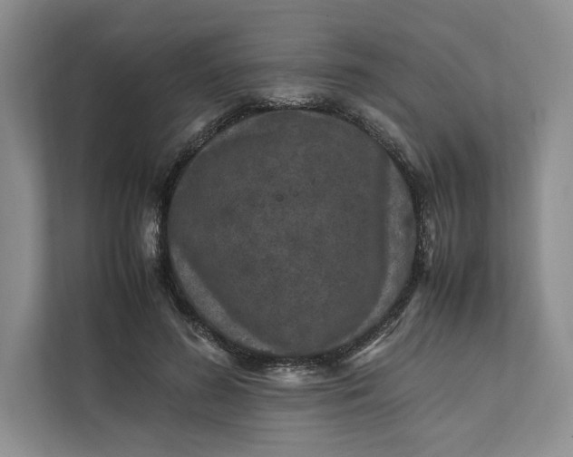 X0000111810596200908061117