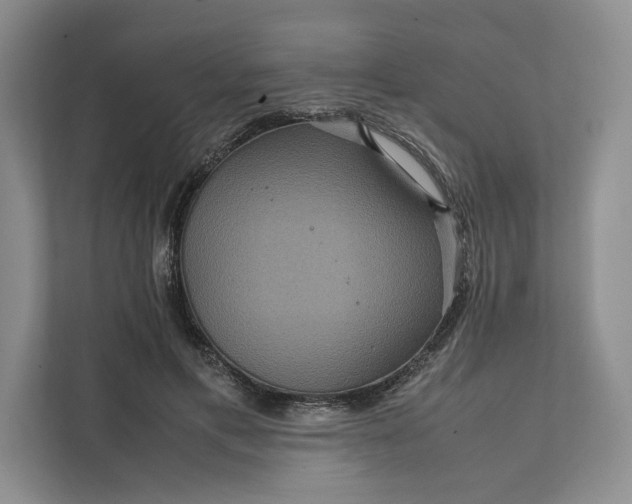 X0000111810597200908061117