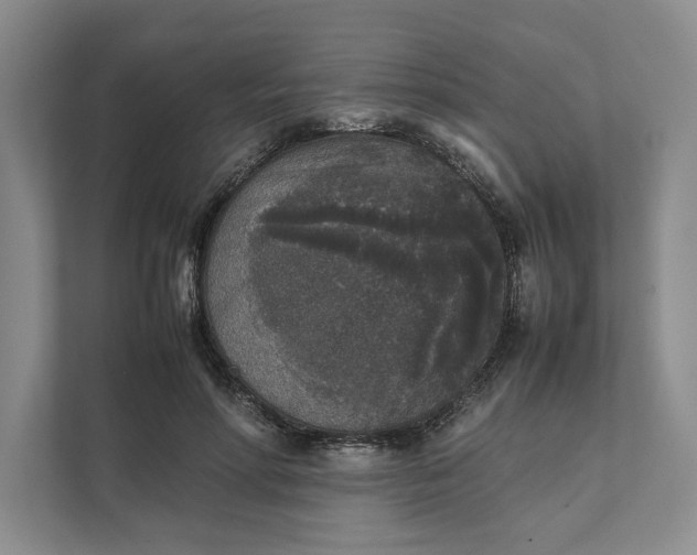X0000111810598200908061117