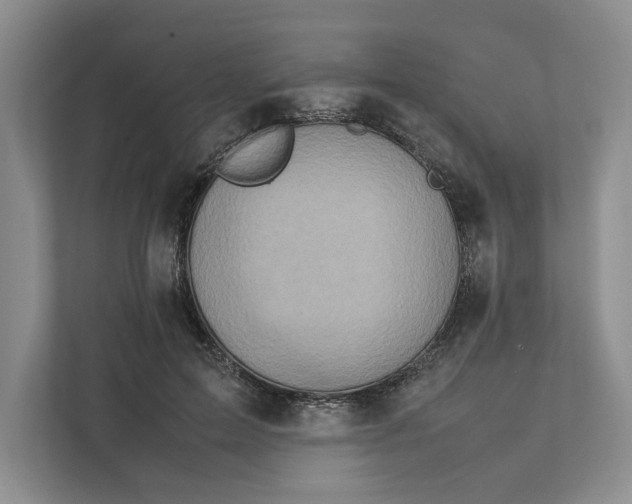 X0000111810599200908061117