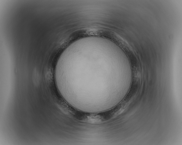 X0000111810603200908061117