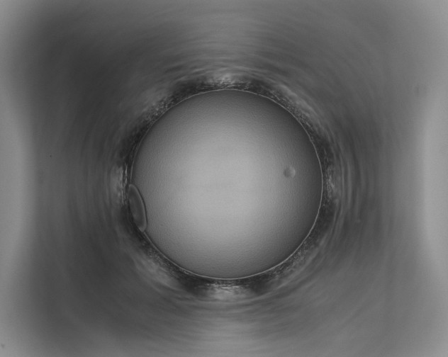 X0000111810605200908061117