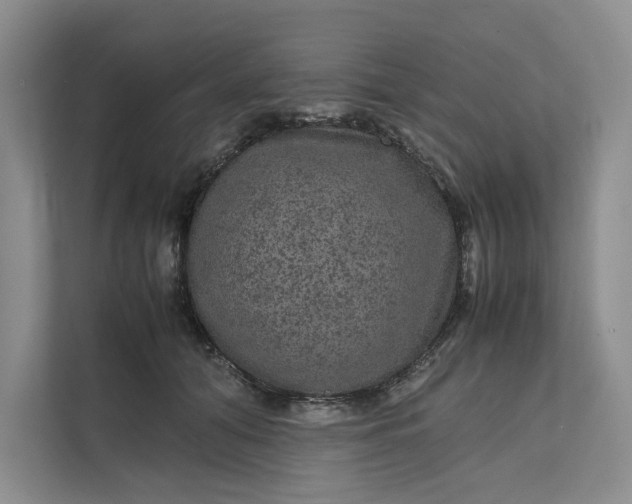 X0000111810608200908061117
