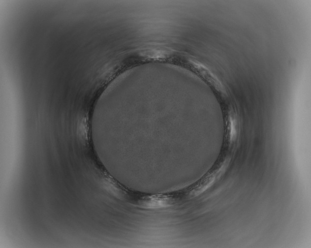 X0000111810612200908061117