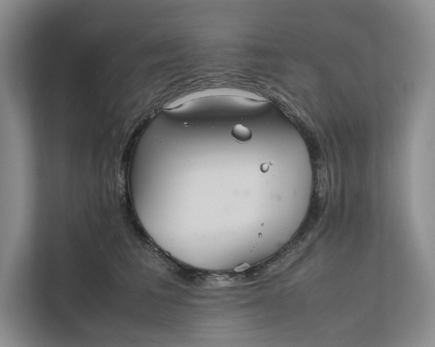 X0000111810613200908061117