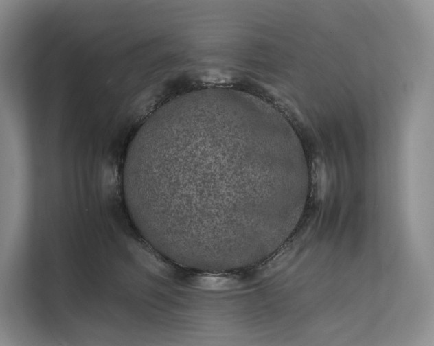 X0000111810614200908061117