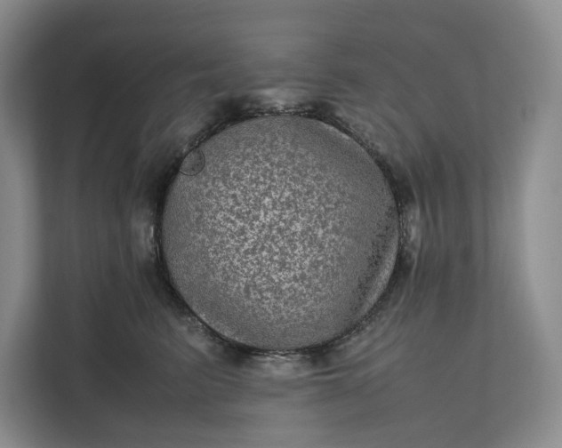 X0000111810615200908061116