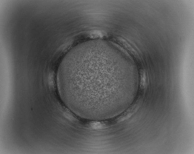 X0000111810616200908061116