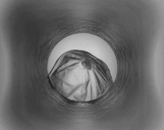 X0000111810617200908061116