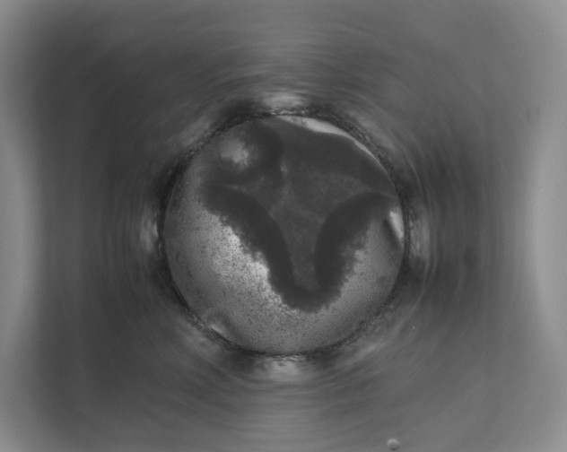 X0000111810618200908061116