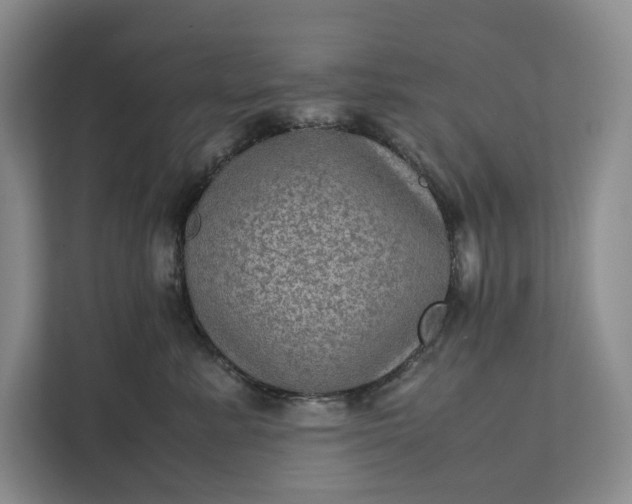 X0000111810619200908061116