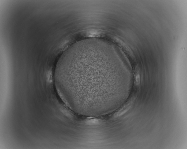 X0000111810620200908061116