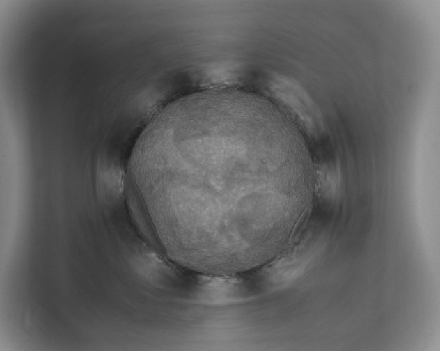 X0000111810621200908061116