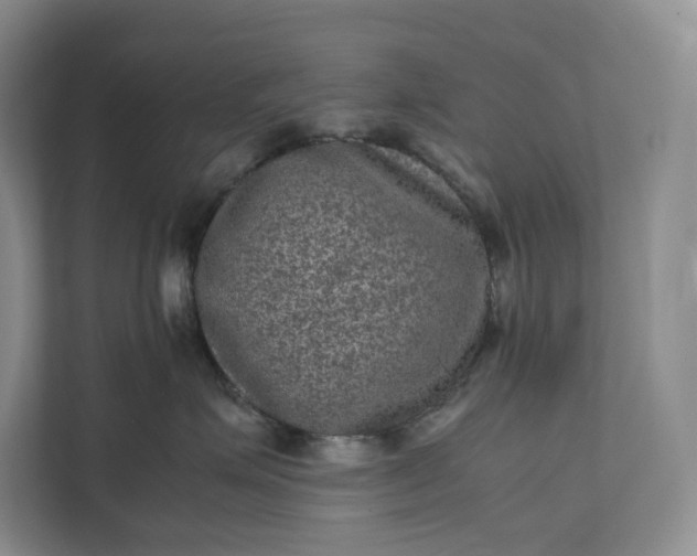 X0000111810623200908061116