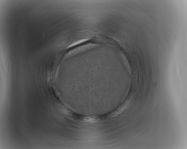 X0000111810624200908061116