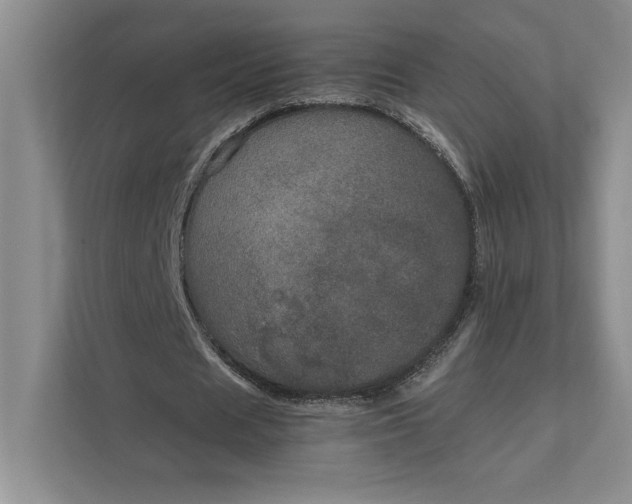X0000111810625200908061116