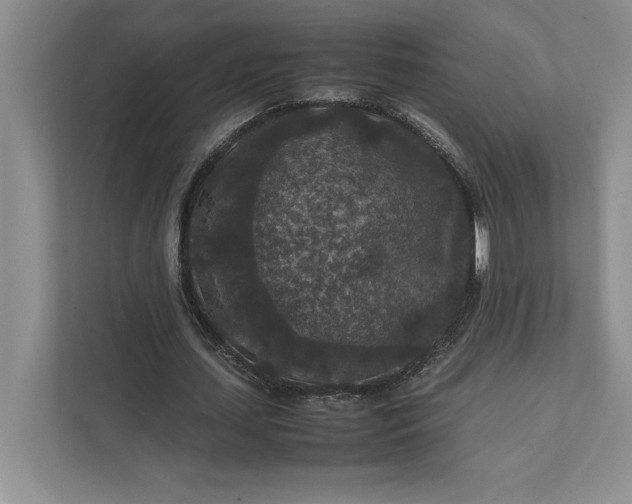 X0000111810627200908061116
