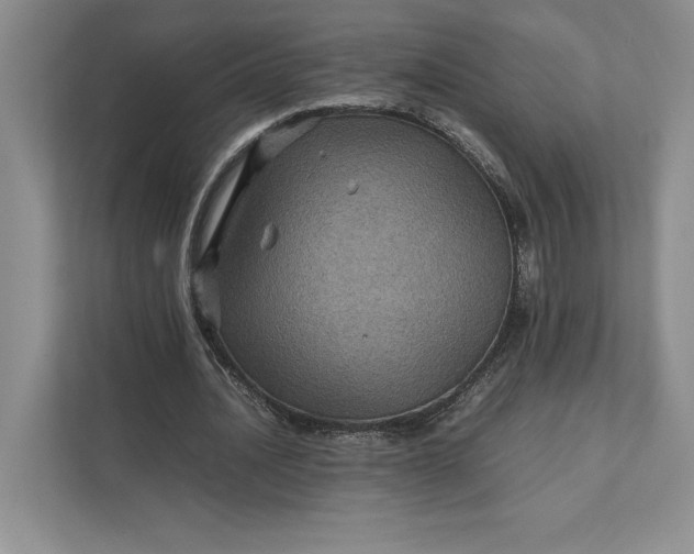 X0000111810628200908061116